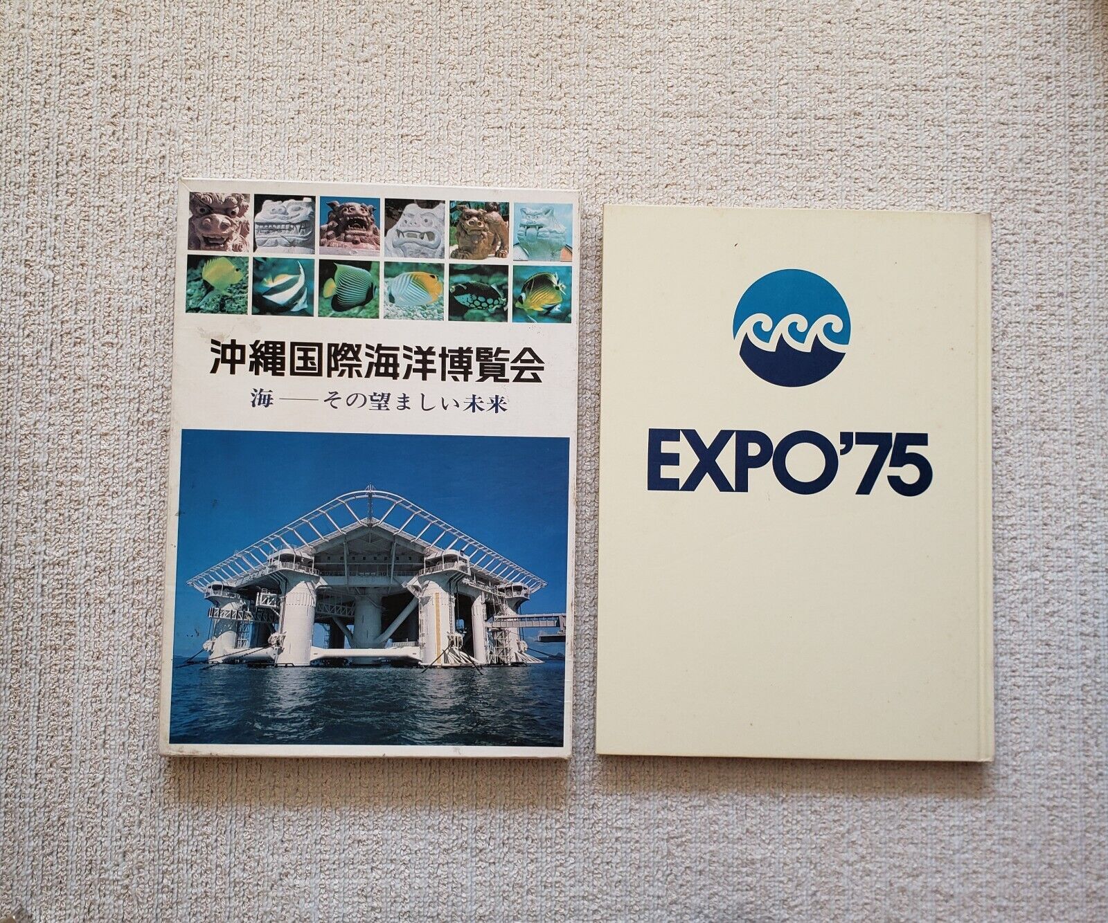 Expo '75 International Ocean Exposition; The Sea We Would Like To See