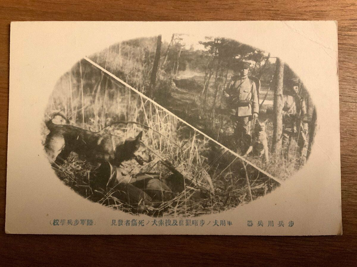 Japanese Army Military Dog Pc Postcard Soldier Sleuth-hound Wwii