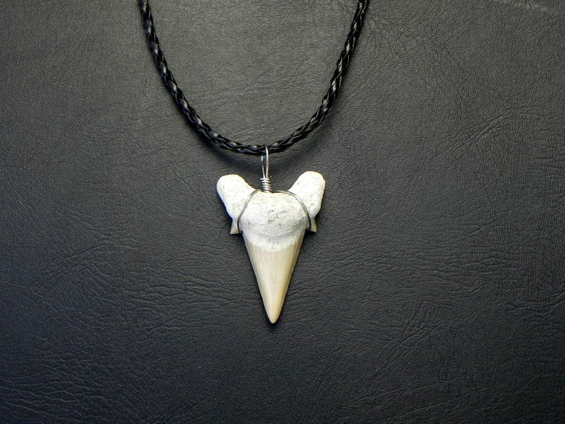 Black Braided Off White Tan Otodus Great Shark Tooth Necklace Fossil Necklaces